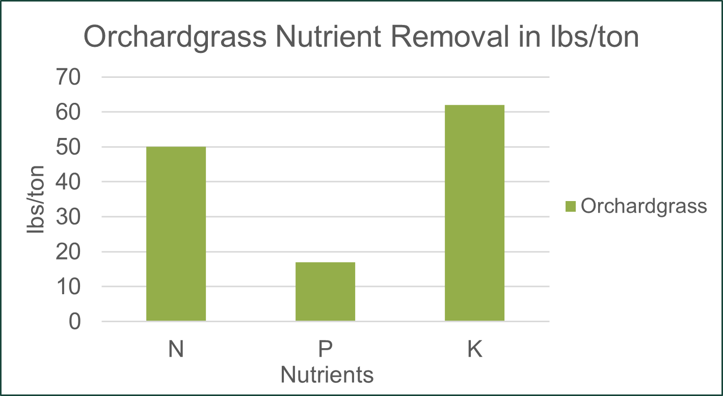 Orcharg Grass removal